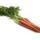 les-legumes-carotte-botte-primeur-italie-ab