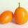 les-fruits-kumquat-sachet-de-500gr-soit-8.50-kg-espagne-ab-categorie-2.