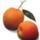 les-fruits-abricot-au-kg-france-ab-cat-2