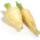 les-legumes-panais-au-kg-alsace-france-ab