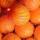 les-fruits-10-kg-d-oranges-a-jus-soit-1-62-le-kilo-espagne-ab-categorie-2.-pensez-a-les-stocker-au-frais-pour-une-conservation-prolongee.