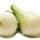 les-legumes-oignon-blanc-demi-sec-de-notre-ferme-au-kg-jura-france-ab