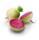 les-legumes-radis-de-couleur-sachet-de-1kg-france-ab